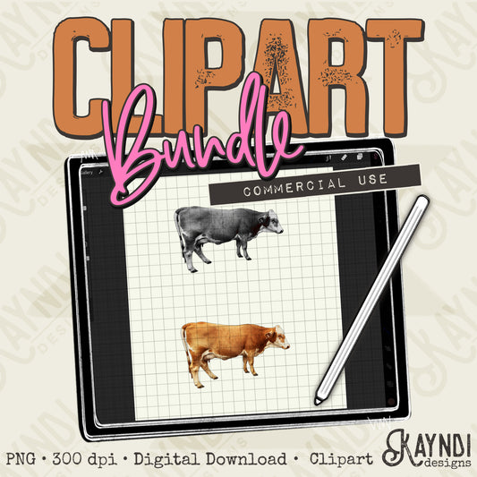 Cows 5 Bundle PNG Digital Downloads Elements Commercial Use Bovine