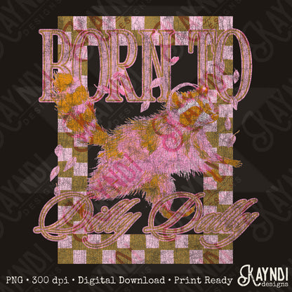 Born to Dilly Dally Distressed Sublimation Design PNG Digital Download Vintage Checker Raccoon
