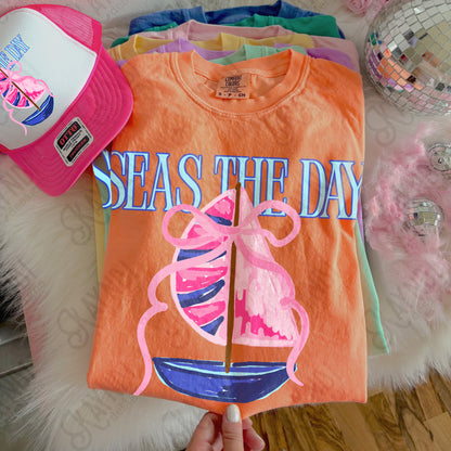 Seas the Day PNG Digital Download Sublimation DTF Print Southern Preppy Pink Blue Sail boat
