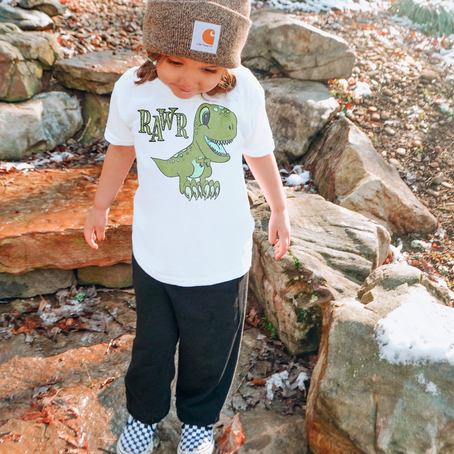 Rawr Baby Dinosaur Sublimation Design PNG Digital Download Dino Cute T-rex