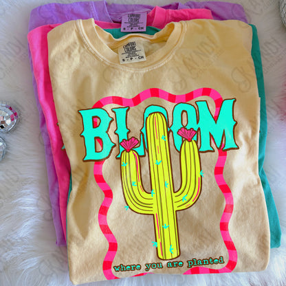Bloom Where you are Planted PNG Digital Download Sublimation DTF Print Cactus Neon